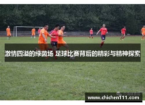 激情四溢的绿茵场 足球比赛背后的精彩与精神探索