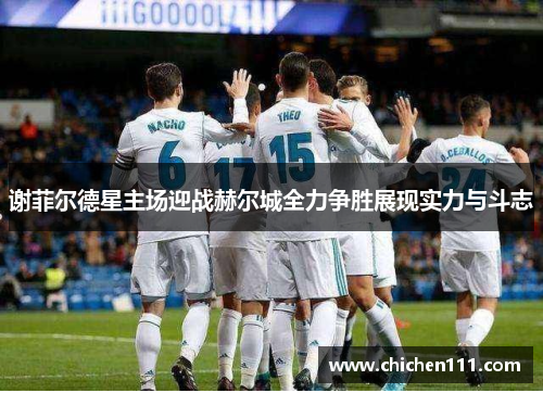 谢菲尔德星主场迎战赫尔城全力争胜展现实力与斗志