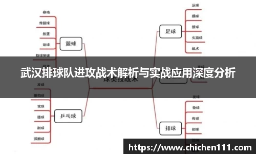 武汉排球队进攻战术解析与实战应用深度分析