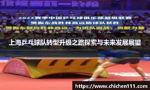 上海乒乓球队转型升级之路探索与未来发展展望