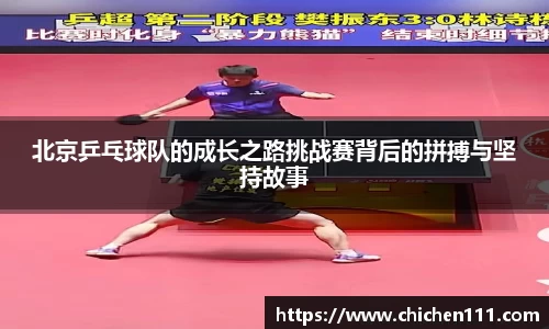 三亿体育官网入口